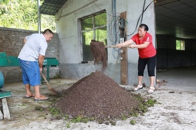 變廢為寶！劍河縣創新研發廢舊菌棒發酵生物飼料助力養殖業降本增效