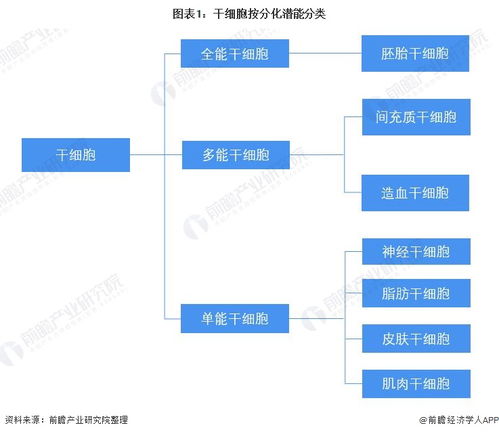 預見2022 2022年中國干細胞醫療產業全景圖譜 附產業鏈現狀 市場競爭格局和發展前景等